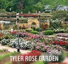 Tyler rose garden.jpg