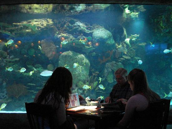 Houston Aquarium.jpg
